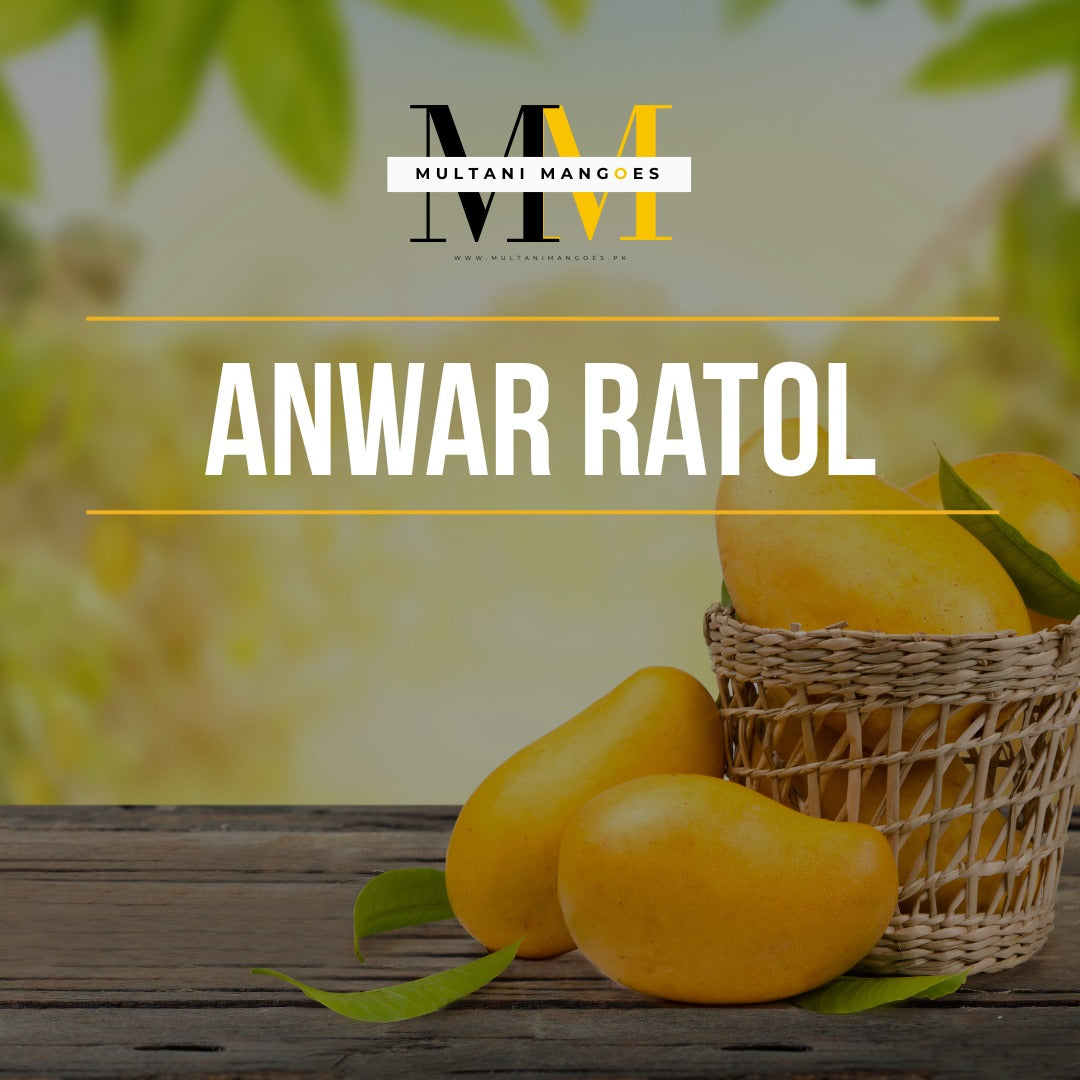 Multani Anwar Ratol Mango