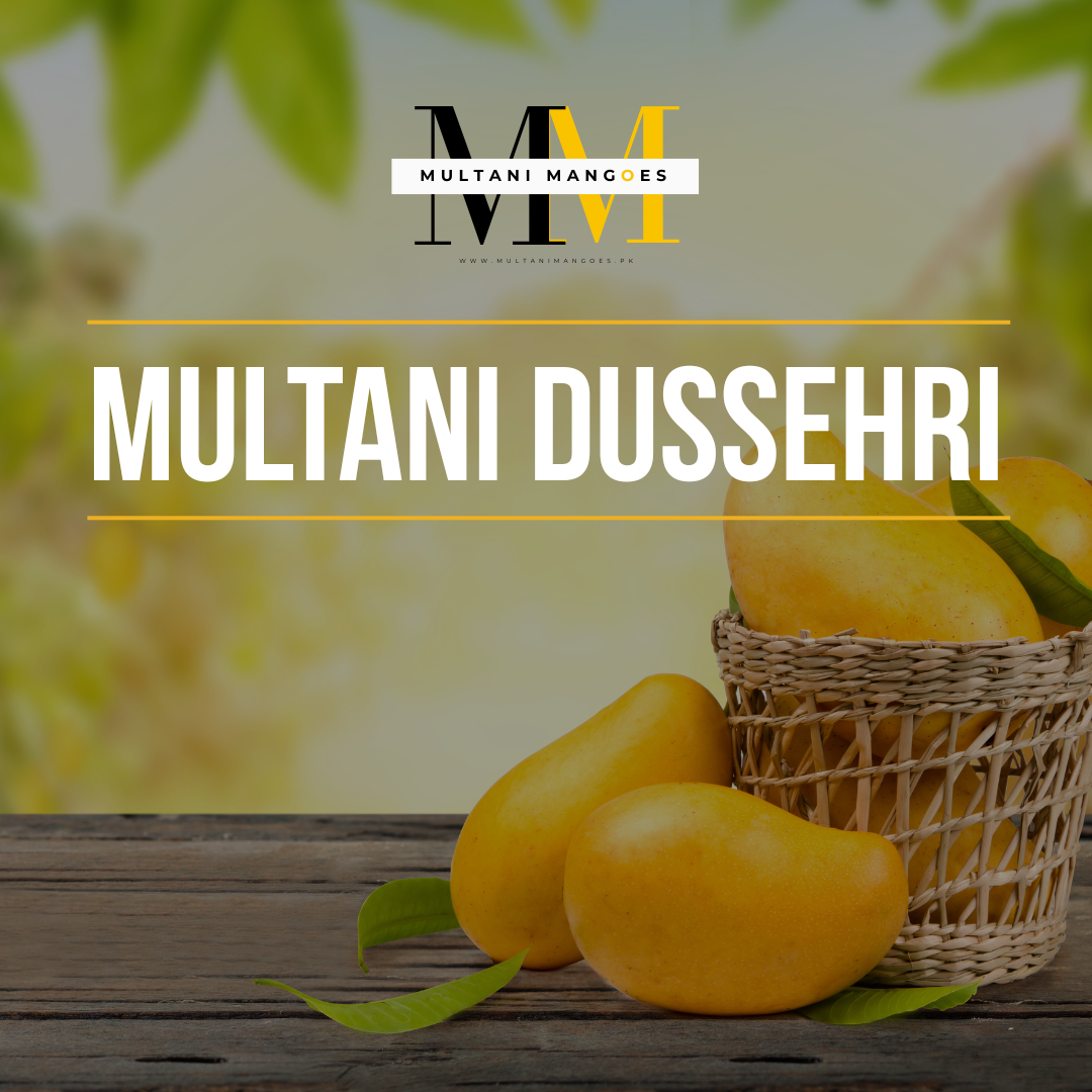 Multani Dussehri Mango - Multani Mangoes